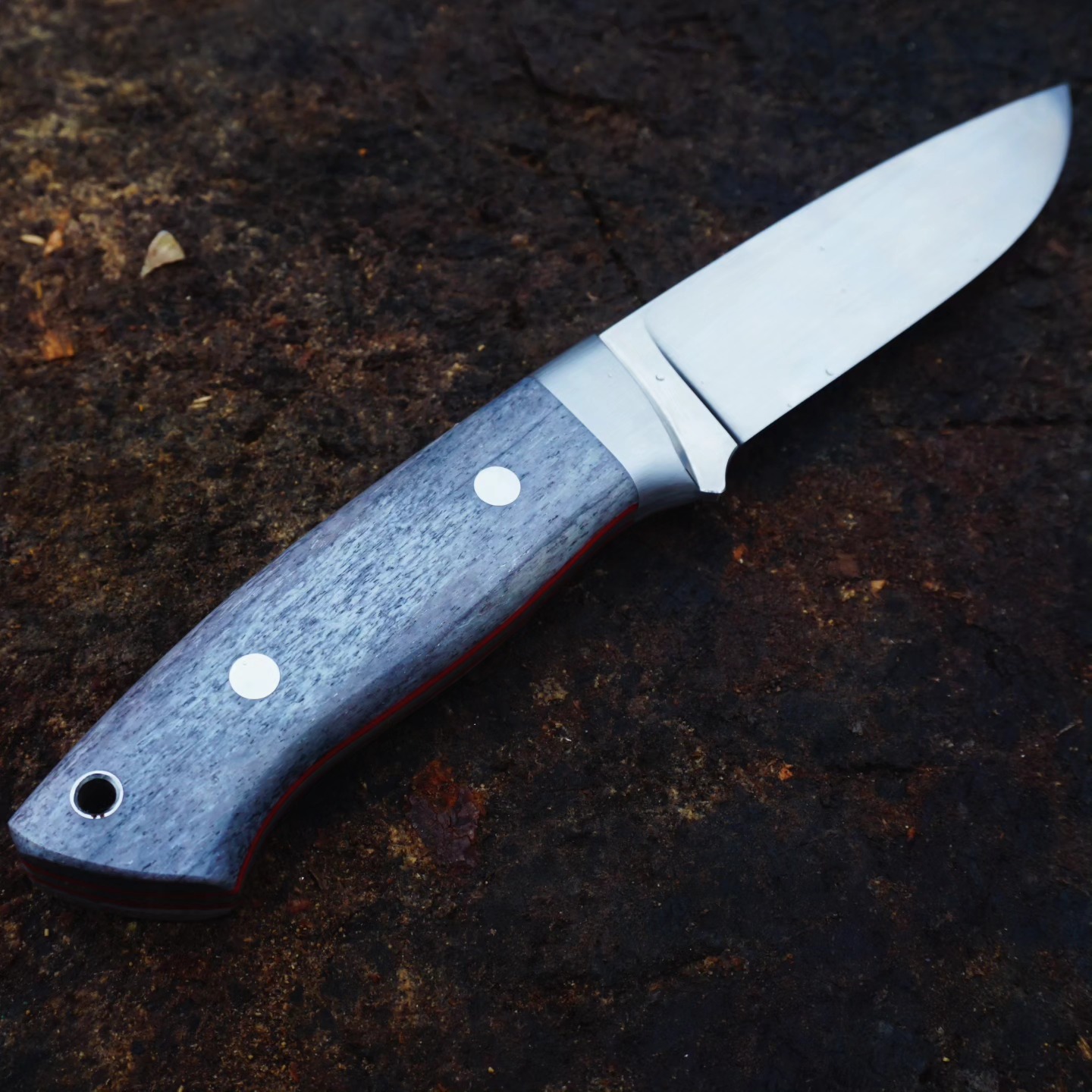 Stabilizovana kost kamile - Slika 4