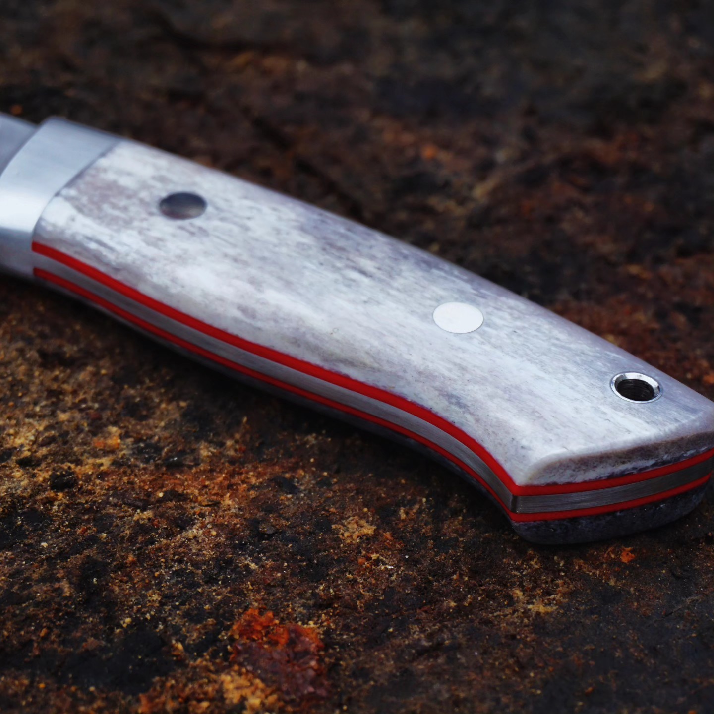 Stabilizovana kost kamile
